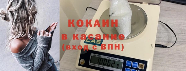 сатива Коряжма