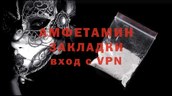 сатива Коряжма