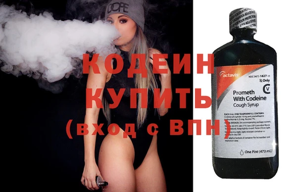 сатива Коряжма