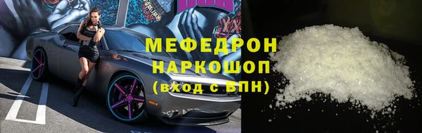 сатива Коряжма