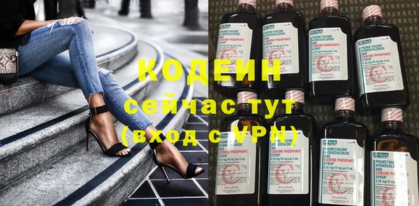 сатива Коряжма