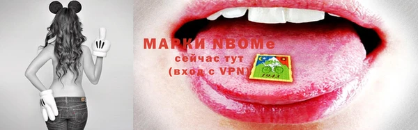 сатива Коряжма