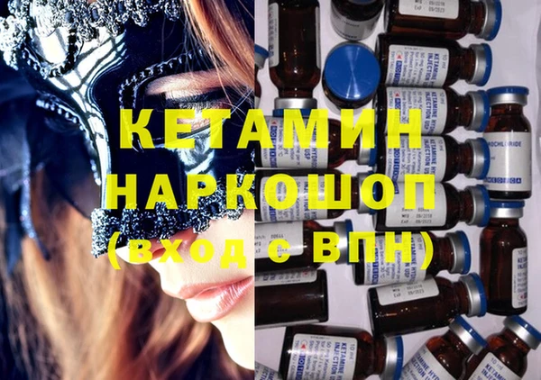 сатива Коряжма