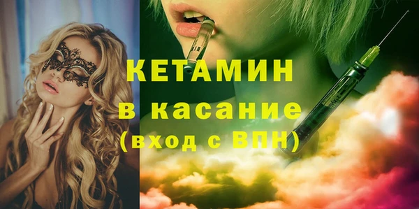 сатива Коряжма