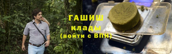 сатива Коряжма